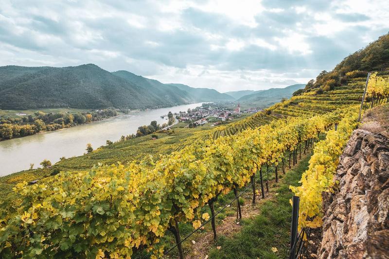 Wachau